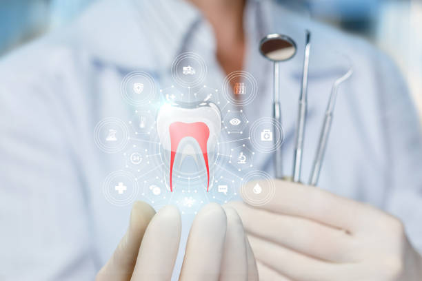 Professional Holistic Dental Care Services in Charlack, MO